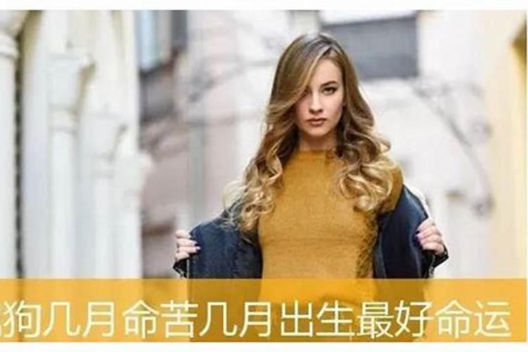 属狗女人几月出生命苦