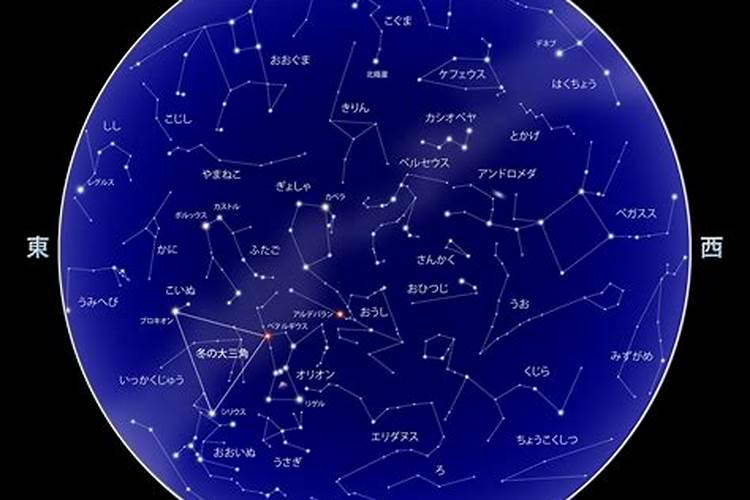 阳历2021年1月20日星座