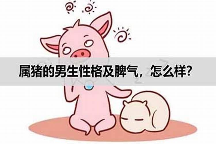 属猪的人有什么性格特点男人