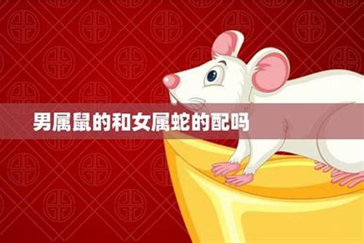 夫妻俩属相不合怎么办,属相不合怎么能化解吗