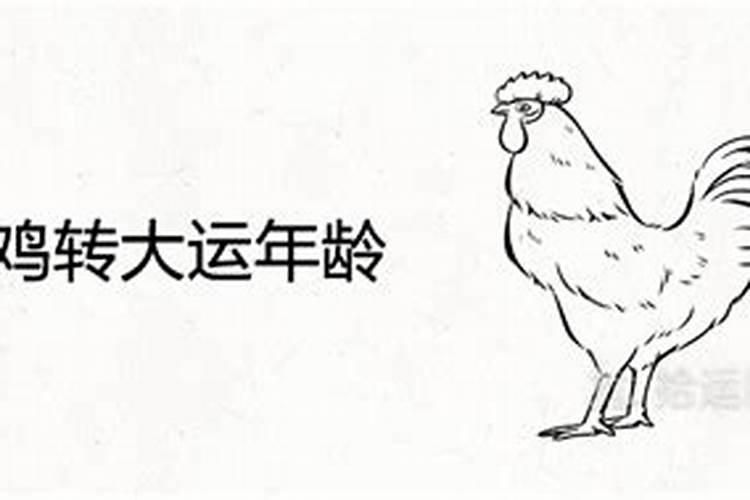 1981年属鸡人2021年事业运