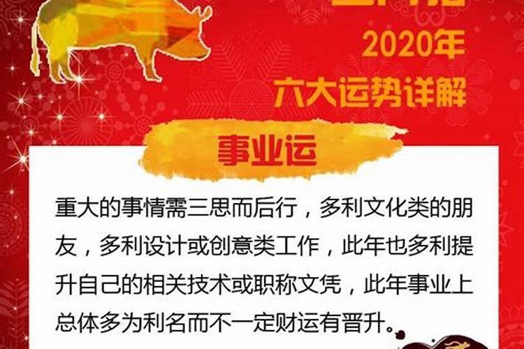 2020年属猪的运势及运程