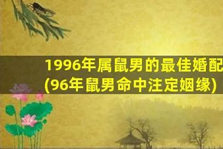 96年鼠男最佳婚配