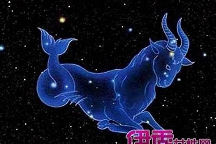 属猪人是什么星座最好命运