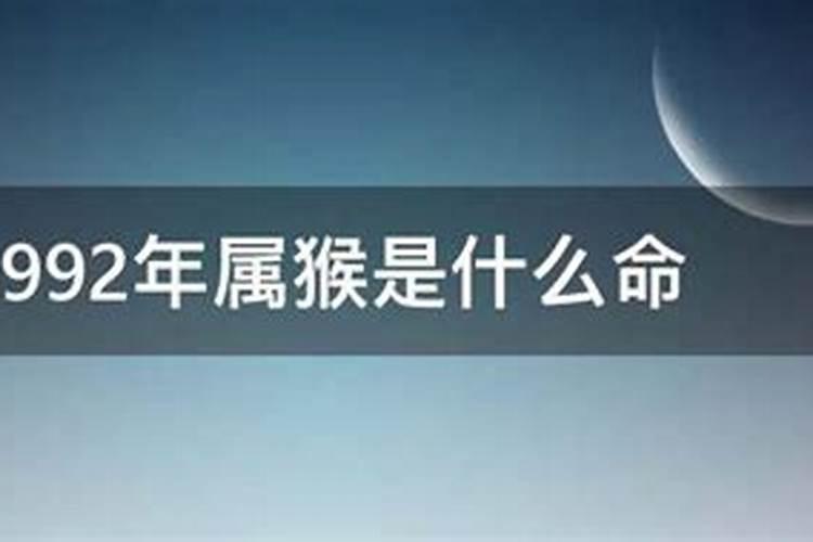 1992年属猴属于什么命格