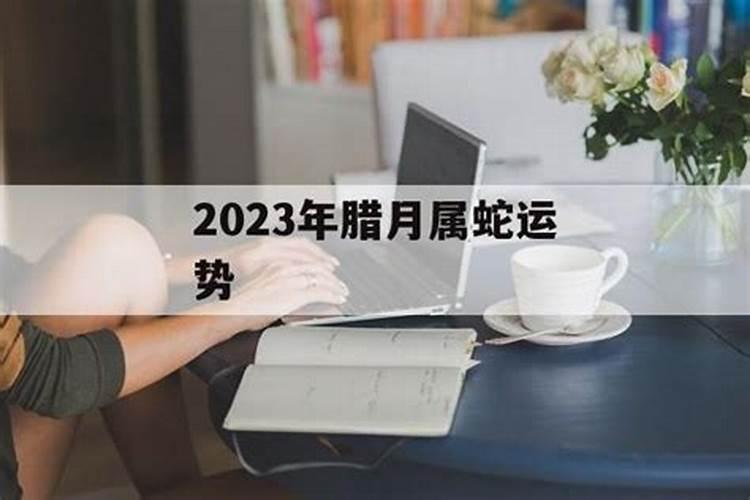 65年属蛇男2023年运势