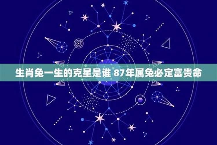 生肖兔一生的克星