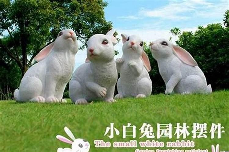 父母属兔孩子也属兔好吗
