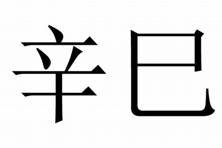 辛巳大运是什么意思啊