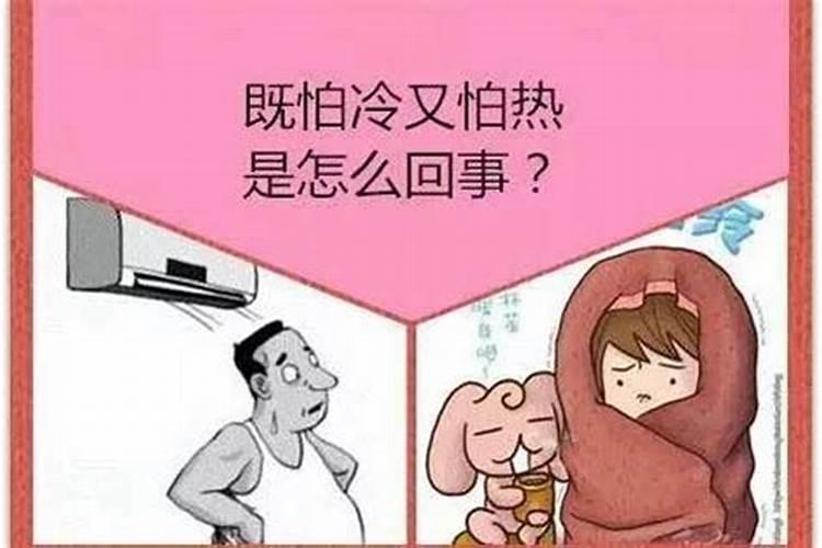 什么生肖怕冷又怕热