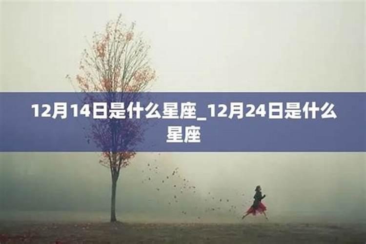 2003年11月24日什么星座