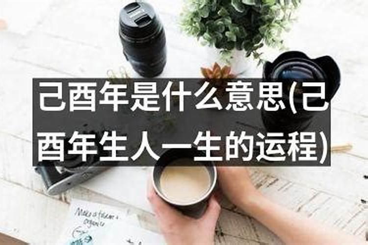 清明节可以开展哪些活动