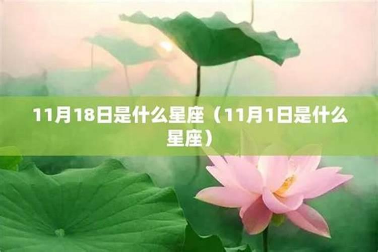 84年阴历11月17日是什么星座呢