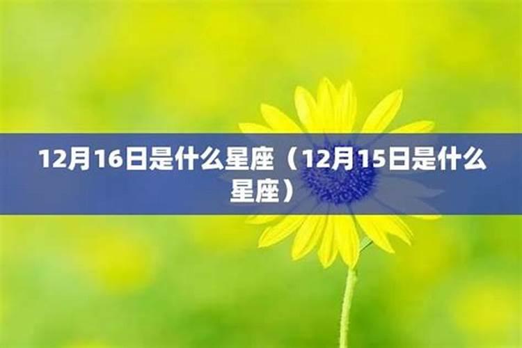 1998年11月16日出生是什么星座