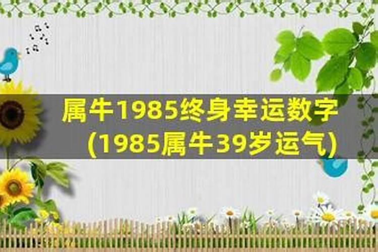 1985属牛女的人终身幸运色