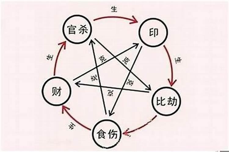 属猪的2024年学生运势怎么样