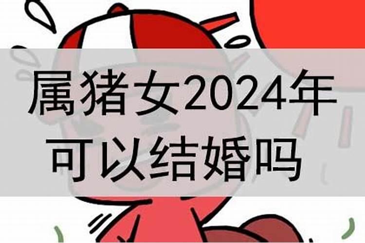 属猪人今年可以结婚吗女孩