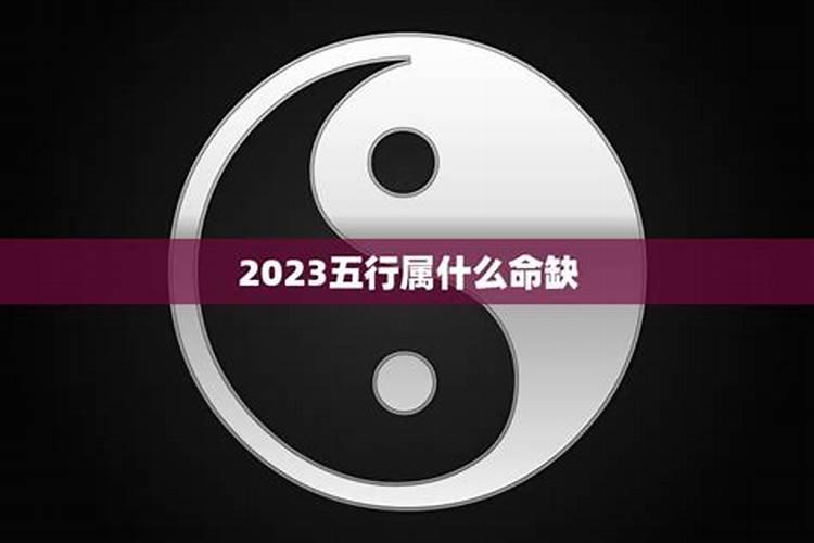 2023五行属什么命