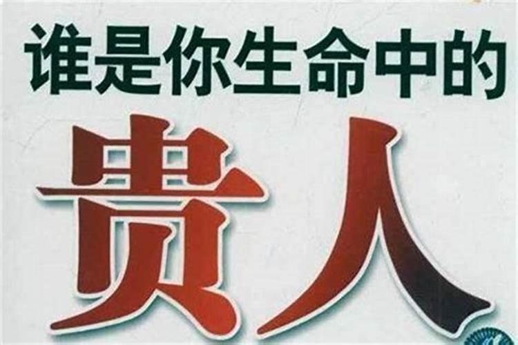 月字五行属什么属性