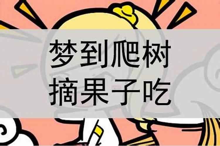 梦到活人死了我们去摘果子吃