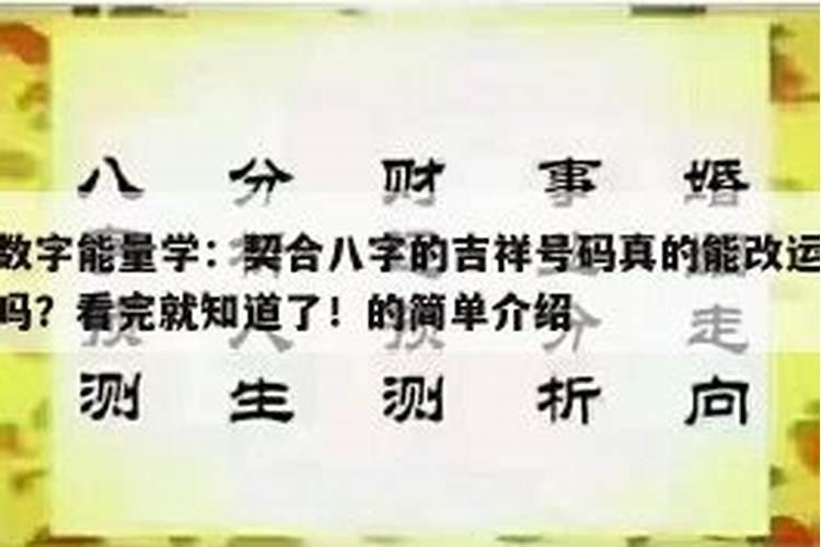 吉祥物能化解不好的大运吗