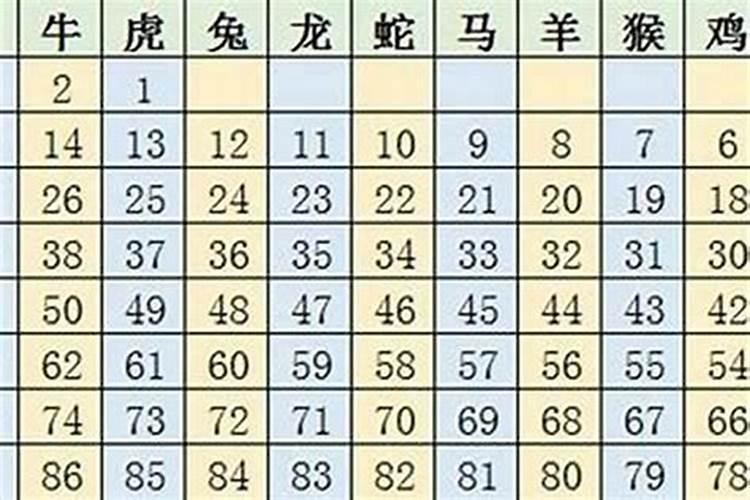 2023年12属什么生肖运势