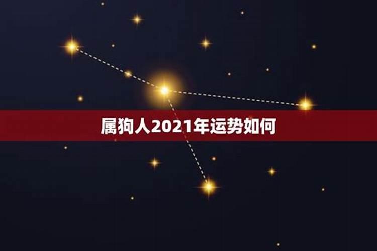 2021年属狗人感情运程