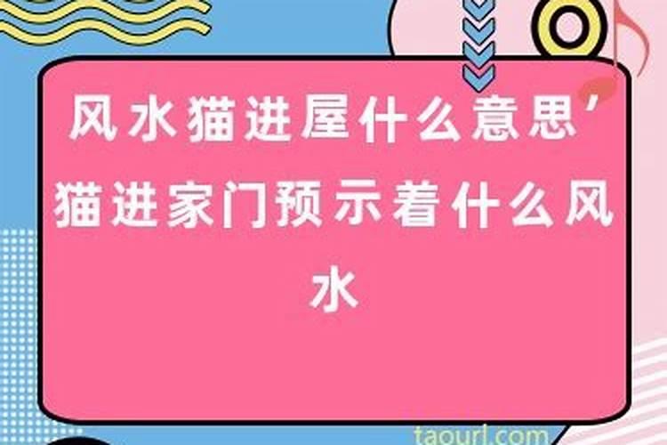 八字是哪些信息是前世