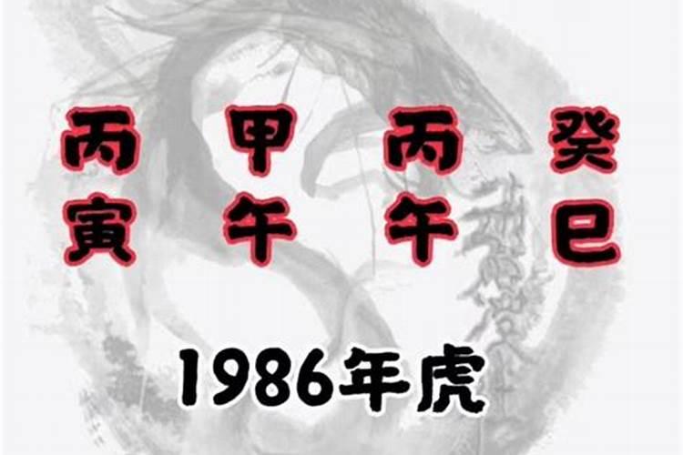 丙寅年出生的人命运，1986属虎的一生婚姻如何