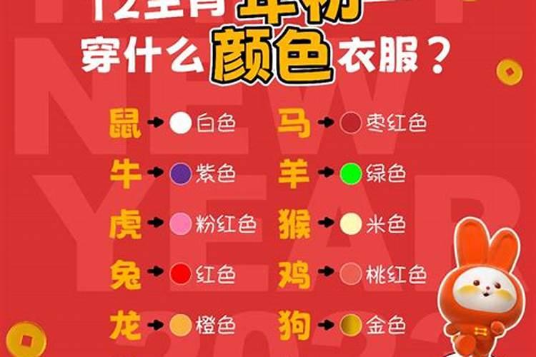 生肖兔2023年忌什么颜色的衣服