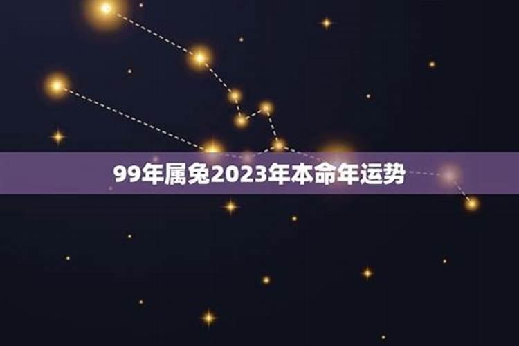 属兔2023年感情运势