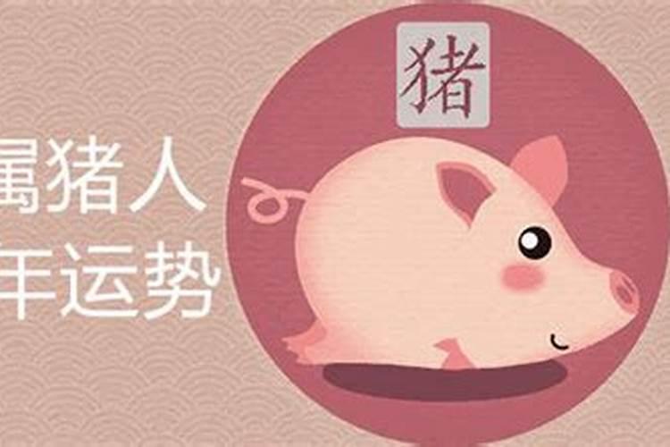 属猪今年的运势2021