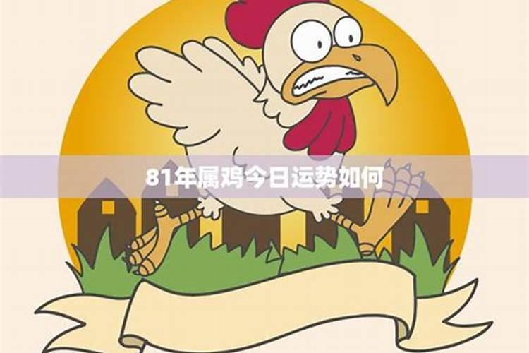 81年属鸡今日财运10月5日