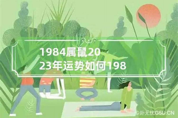 1984年生运势如何