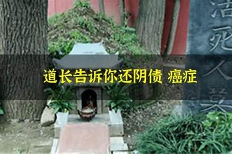 野地相遇指什么生肖