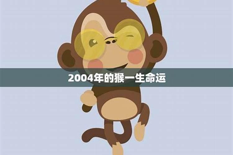 2004年属猴的人一生命运如何