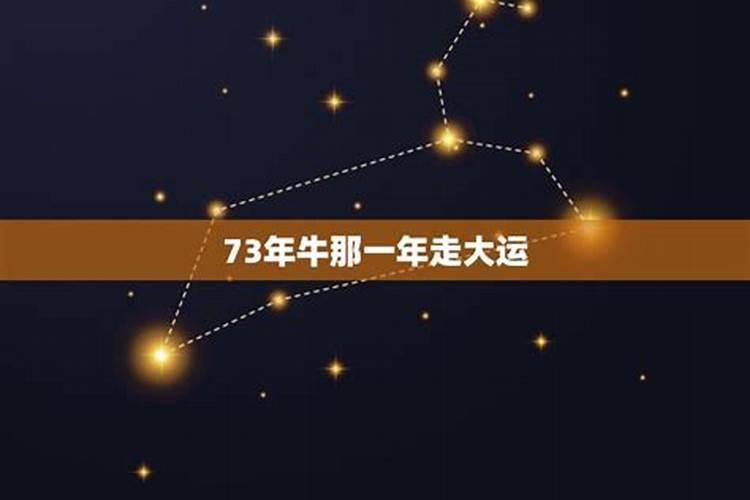 73年属牛啥时有大运