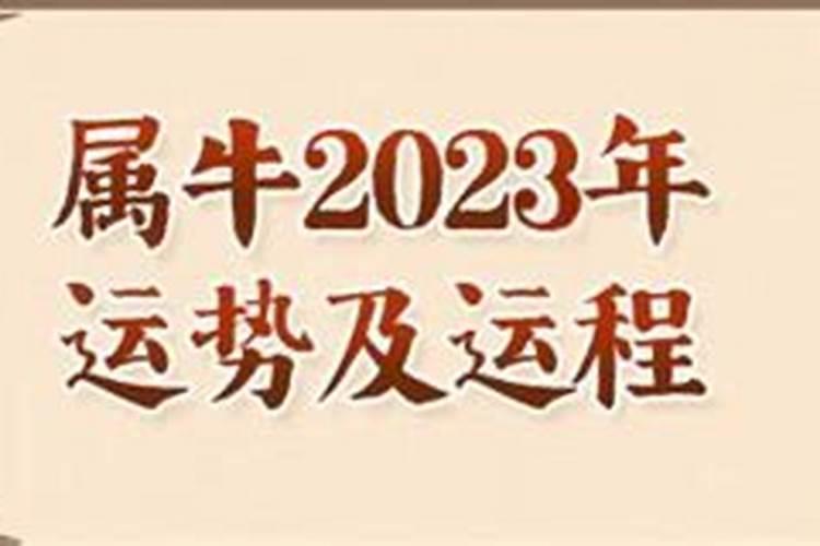 属牛人2023年每月运势运程每月