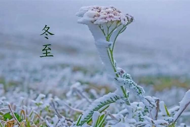 松江冬至祭扫时间