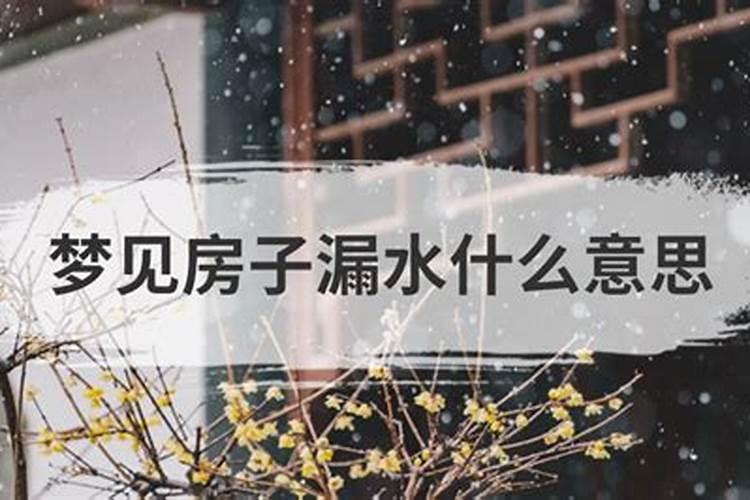 梦见老家的旧房子漏雨漏水