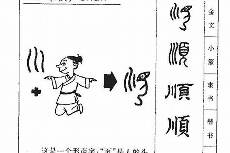 顺五行属什么的字