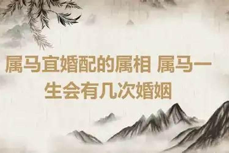 属马的人适合什么星座的人结婚