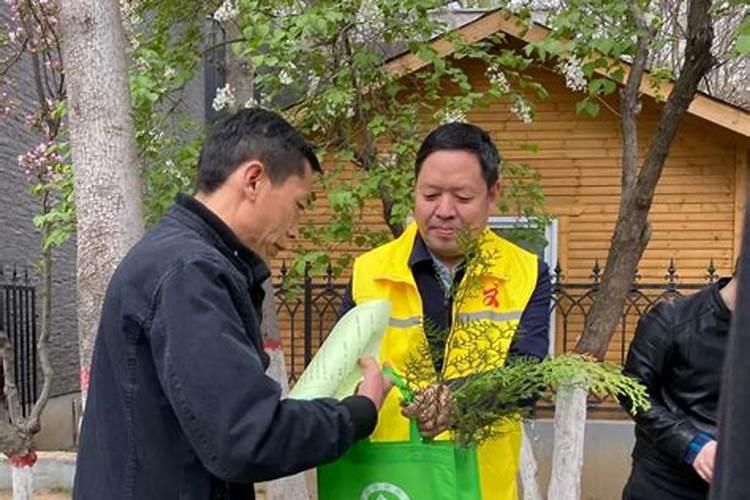 清明节绿色祭祀活动