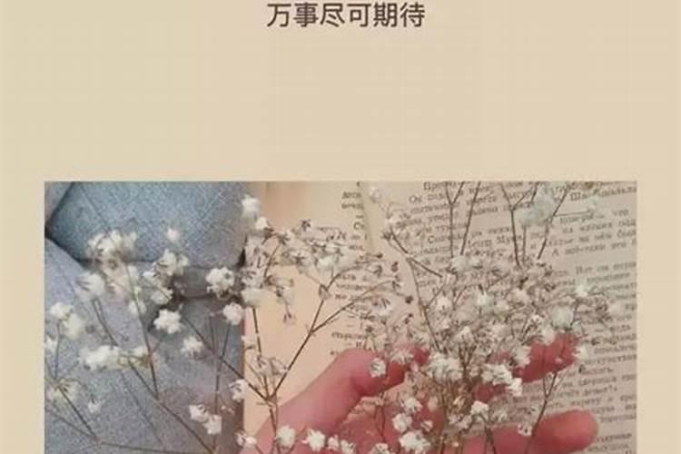 算命算桃花准吗