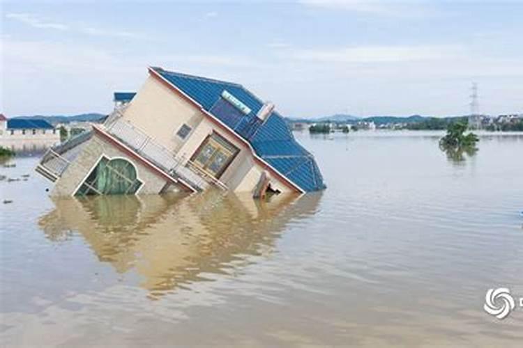 梦见发大洪水水中有木板