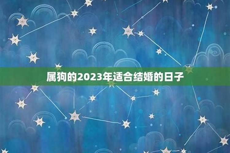 属狗2023年适合结婚吗