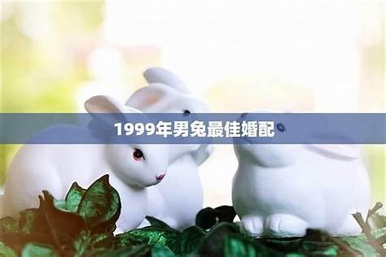 1999年男兔婚姻配吗属相女人