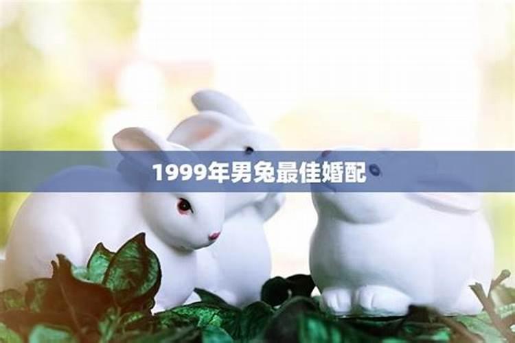 1999年男兔的婚配