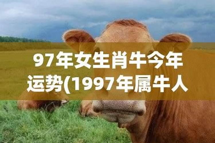 1997属牛女运势及感情运程怎么样呢