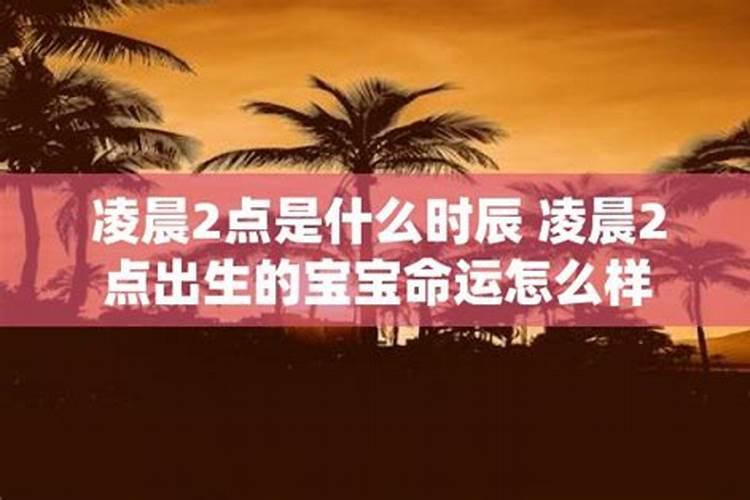 后半夜3点的生肖狗运势怎么样